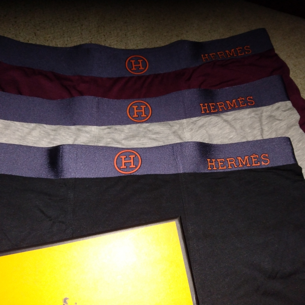 Hermes Boxer Briefs 3